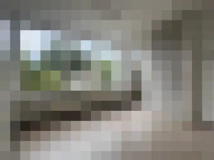 Burggraaf Zwederlaan 26 Montfoort thumbnail 10