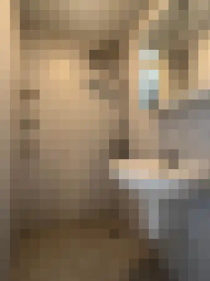 Burggraaf Zwederlaan 26 Montfoort thumbnail 16