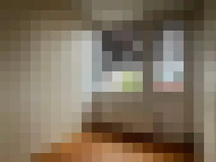Burggraaf Zwederlaan 26 Montfoort thumbnail 19