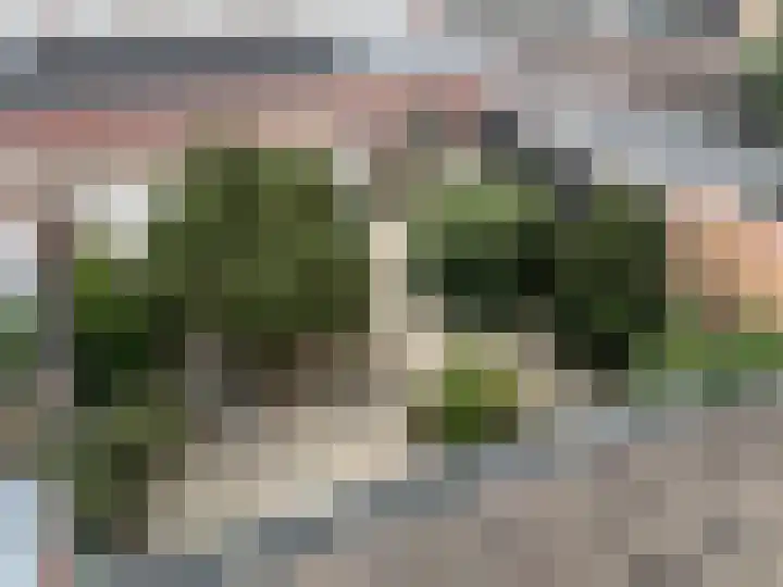 Burggraaf Zwederlaan 26 Montfoort thumbnail 24