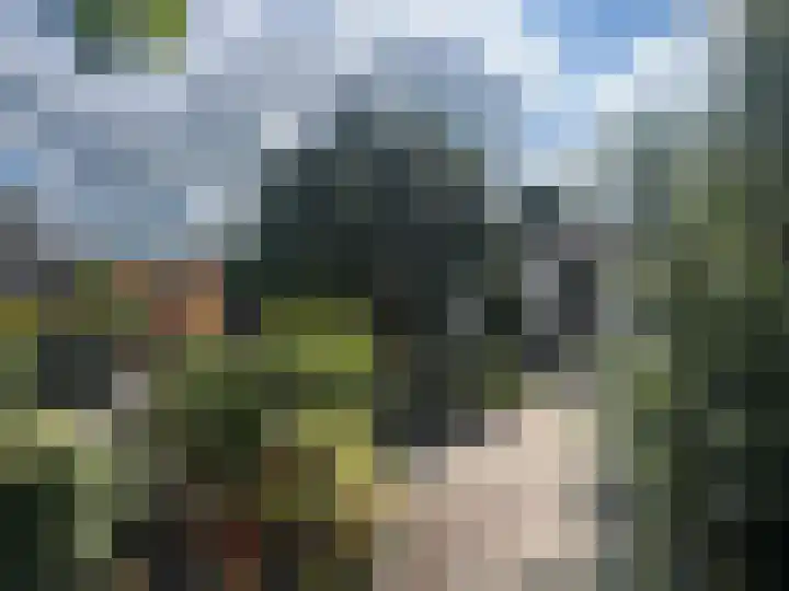 Burggraaf Zwederlaan 26 Montfoort thumbnail 6