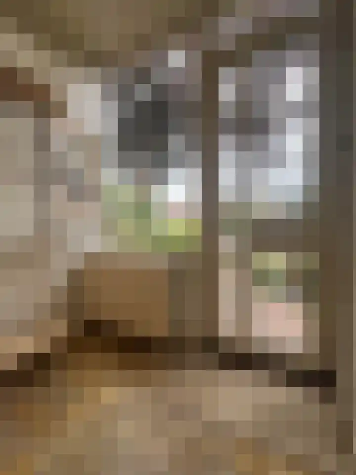 Burggraaf Zwederlaan 26 Montfoort thumbnail 7
