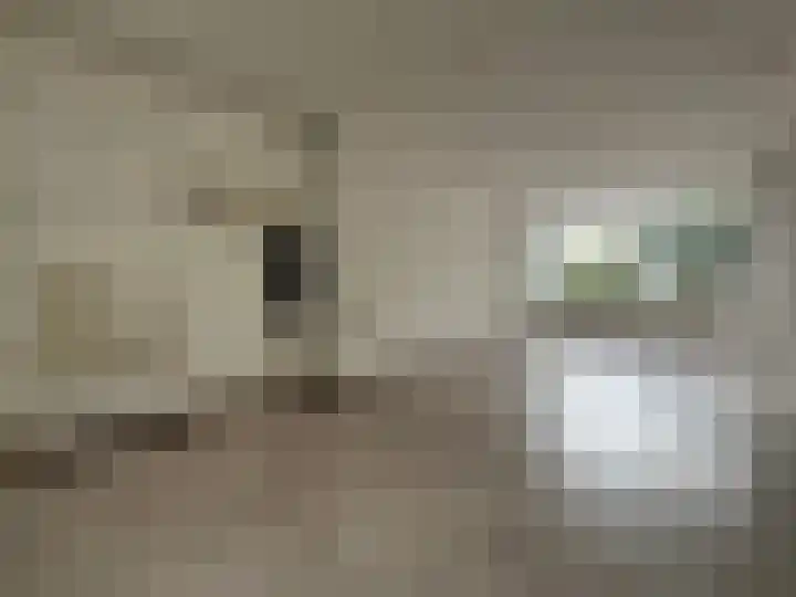 Burggraaf Zwederlaan 26 Montfoort thumbnail 8