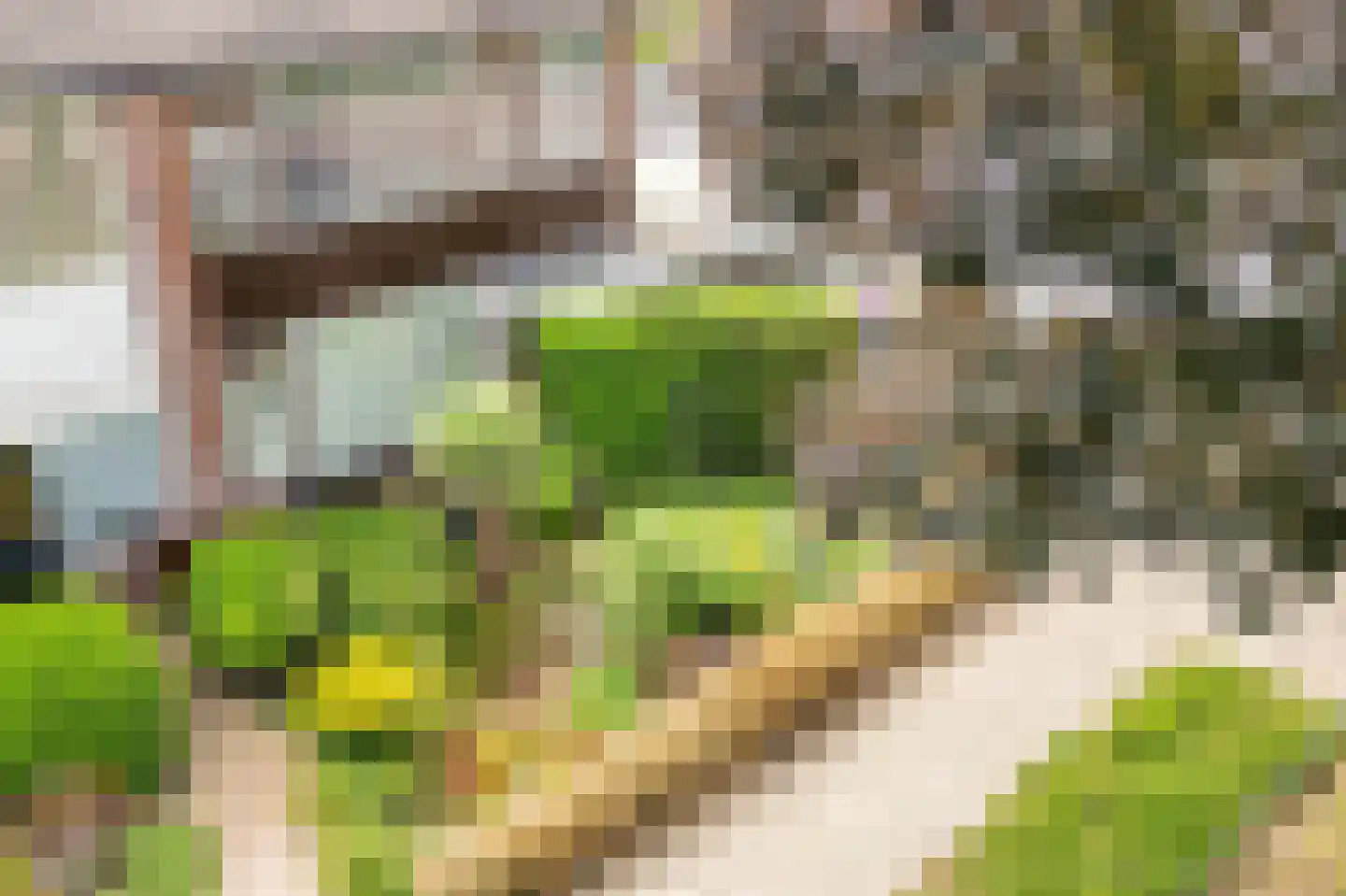 Burggraaf Zwederlaan 34 Montfoort thumbnail 25