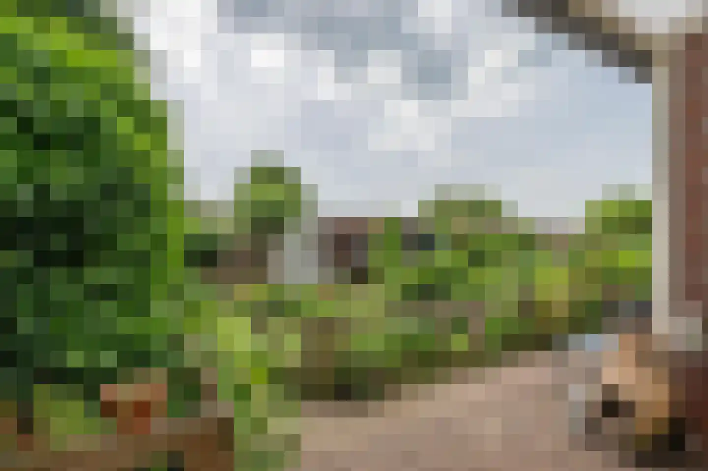 Burggraaf Zwederlaan 34 Montfoort thumbnail 29