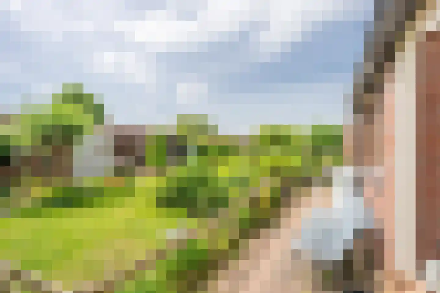 Burggraaf Zwederlaan 34 Montfoort thumbnail 30