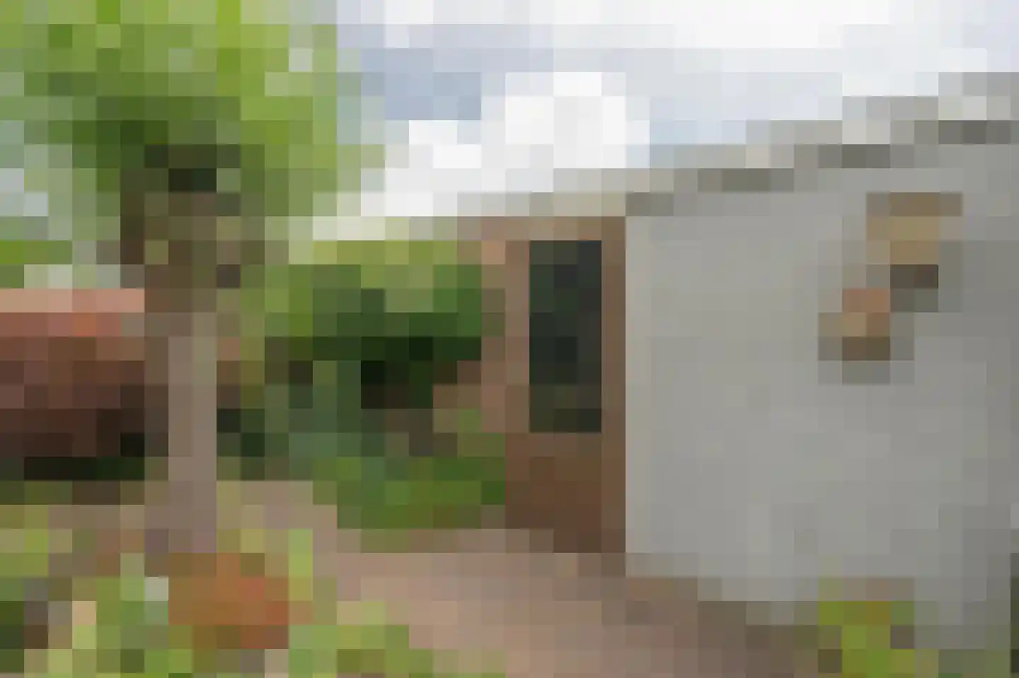 Burggraaf Zwederlaan 34 Montfoort thumbnail 33