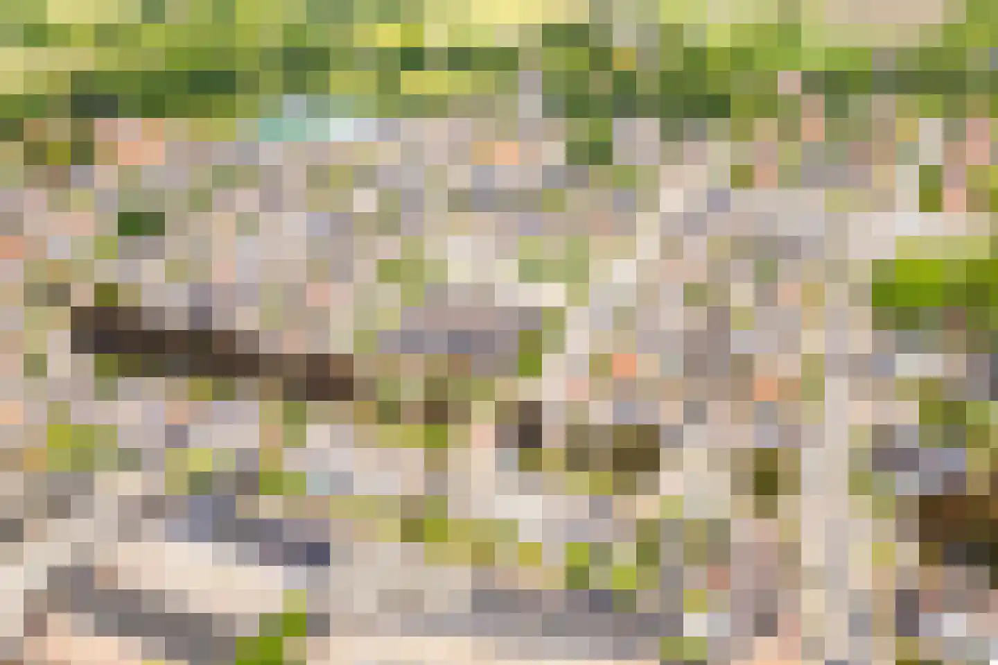 Burggraaf Zwederlaan 34 Montfoort thumbnail 37