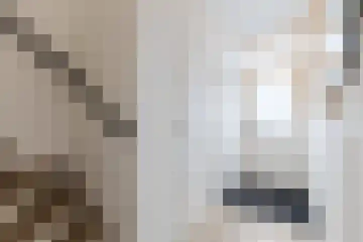 Burggraaf Zwederlaan 5 Montfoort thumbnail 5