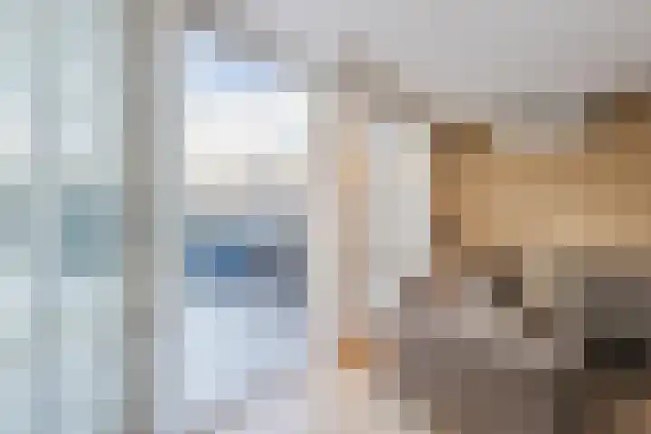 Burggraaf Zwederlaan 5 Montfoort thumbnail 8