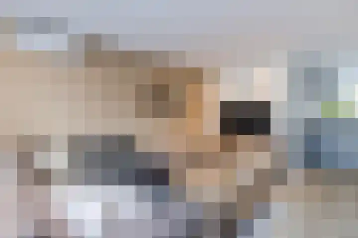Burggraaf Zwederlaan 5 Montfoort thumbnail 9