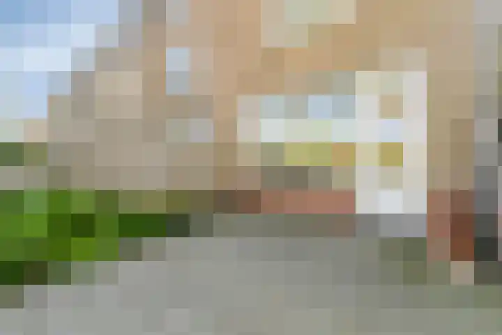 Burggraafstraat 1 Heenvliet thumbnail 17
