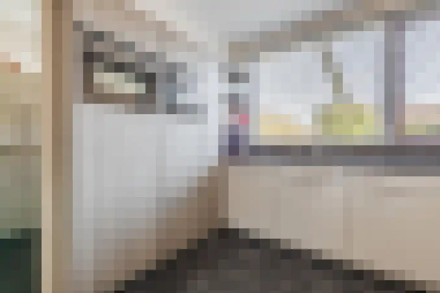 Burggraafstraat 3 Nijmegen thumbnail 15
