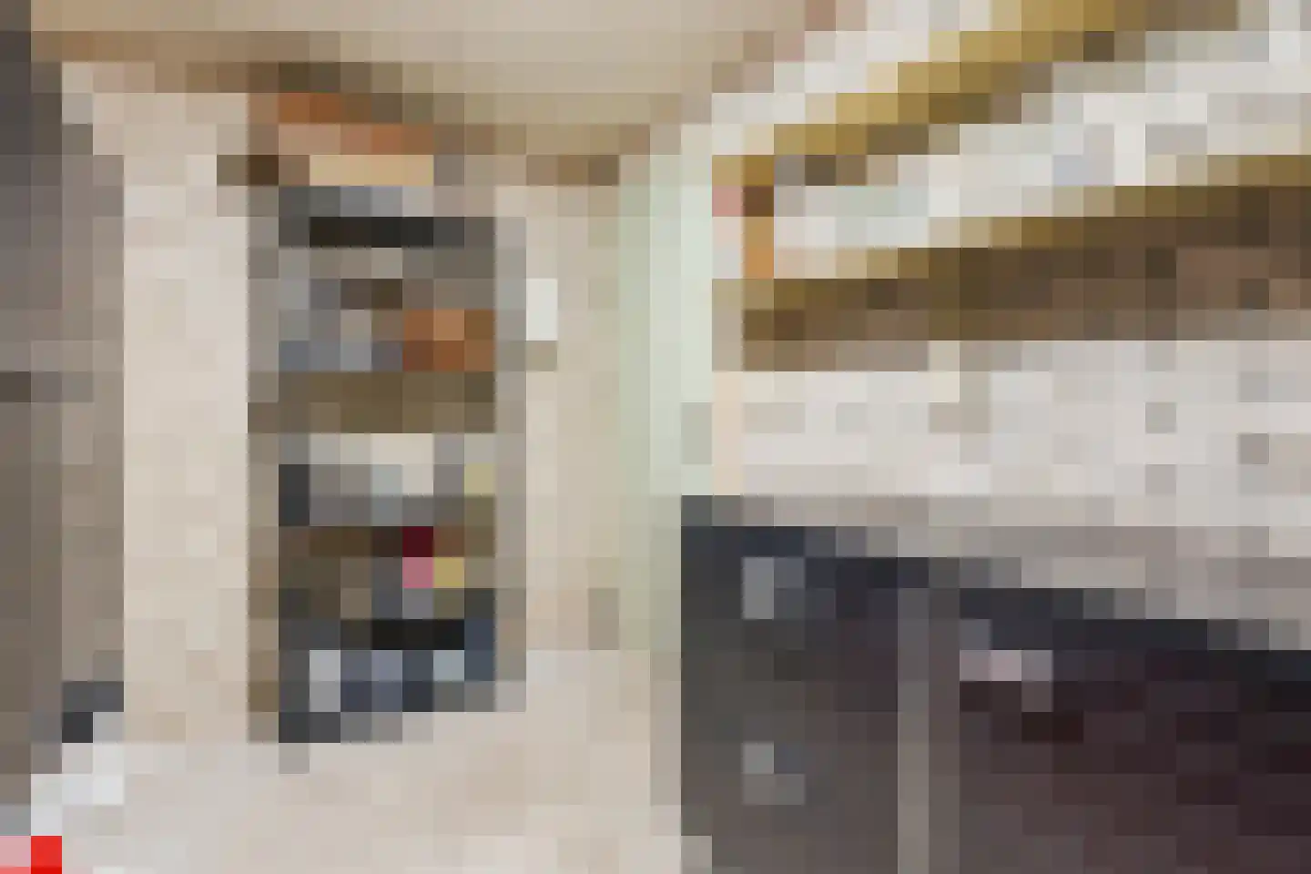 Burggraafstraat 3 Nijmegen thumbnail 36