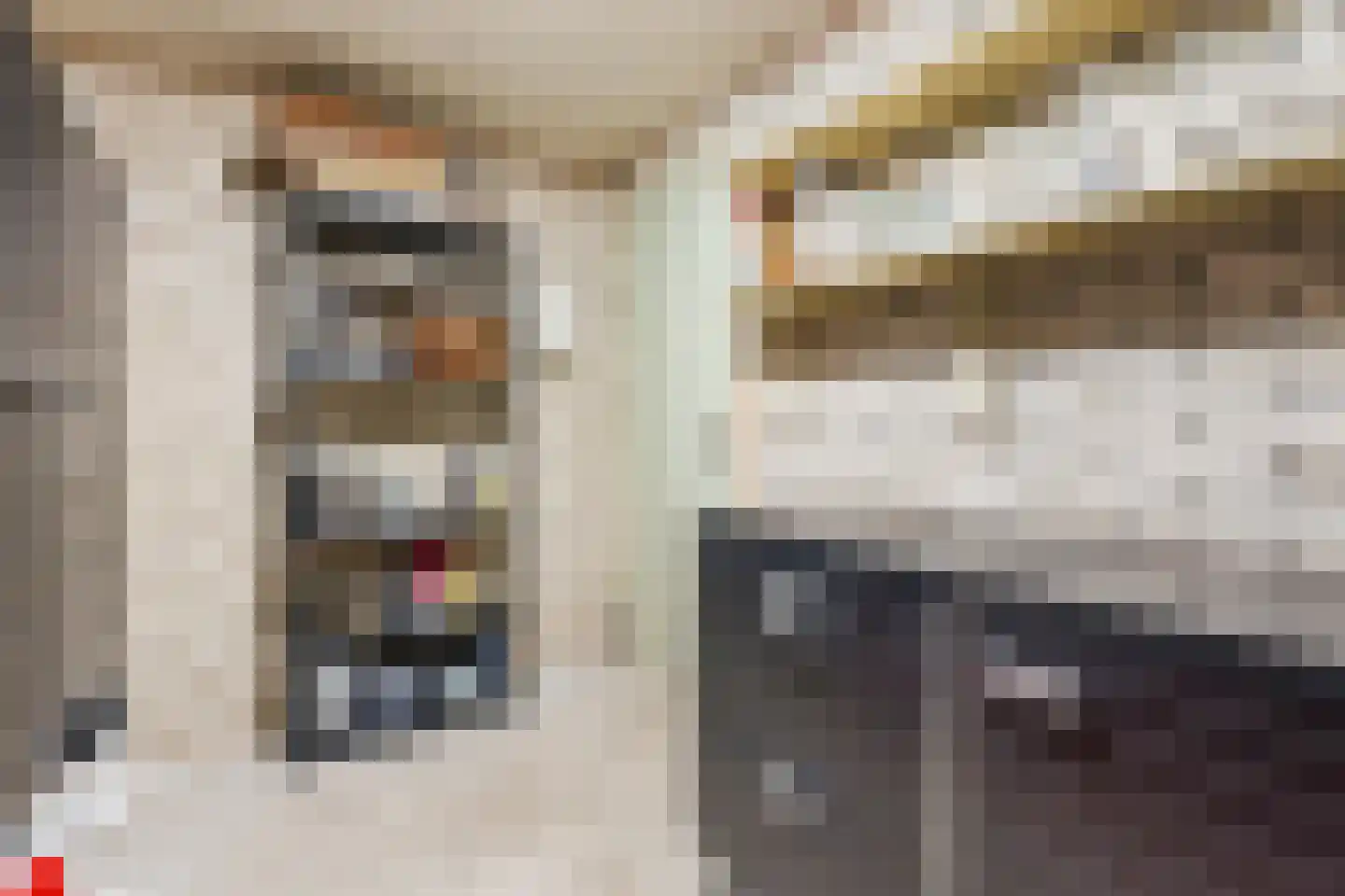 Burggraafstraat 3 Nijmegen thumbnail 36