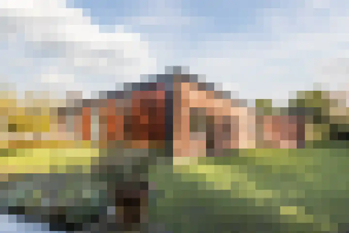 Burggraafstraat 3 Nijmegen thumbnail 56