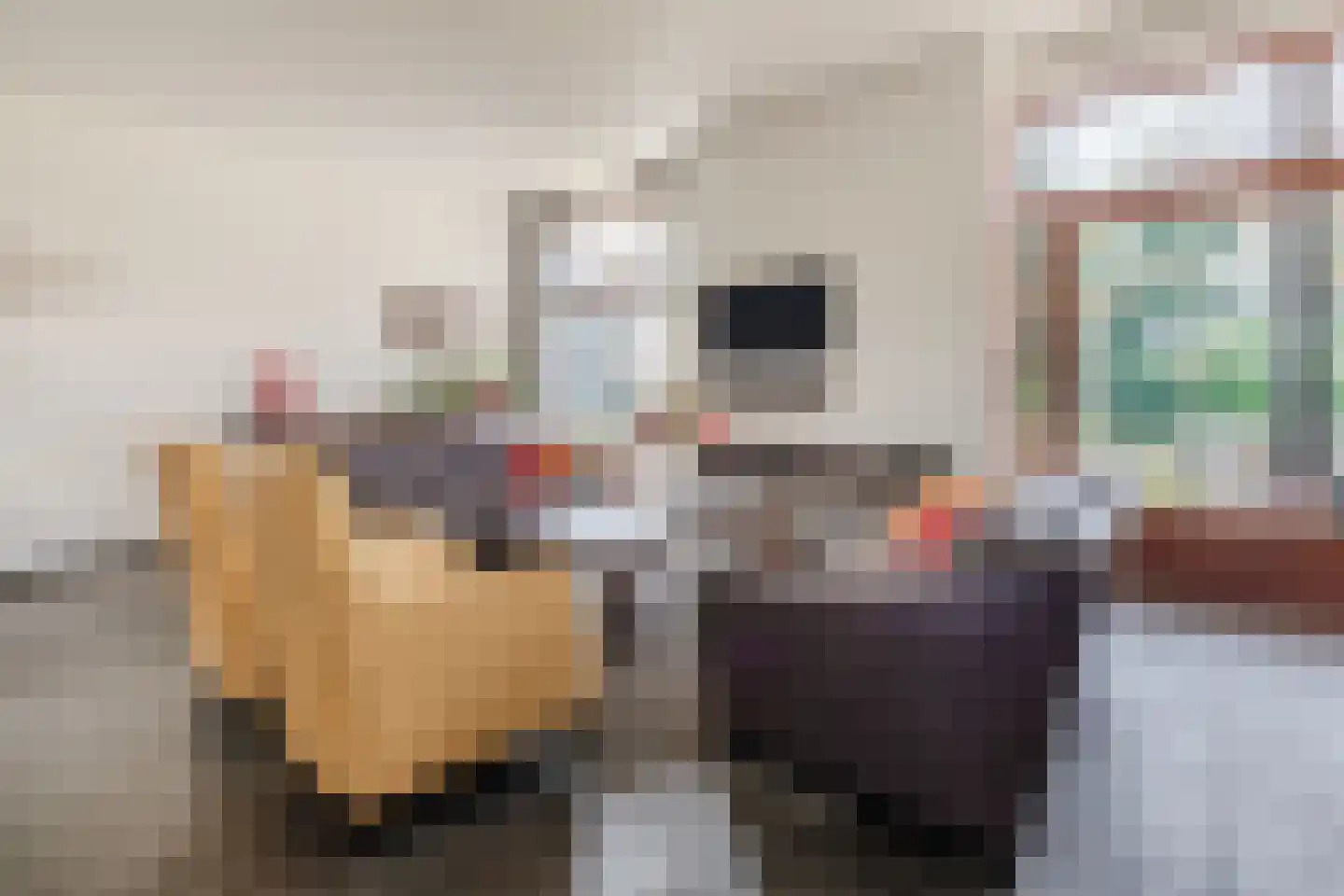Burggraafstraat 3 Nijmegen thumbnail 7