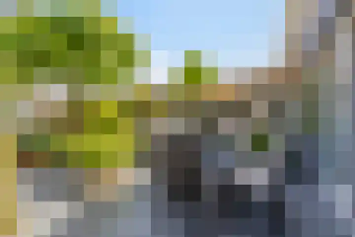 Burggraafstraat 43 Heenvliet thumbnail 34