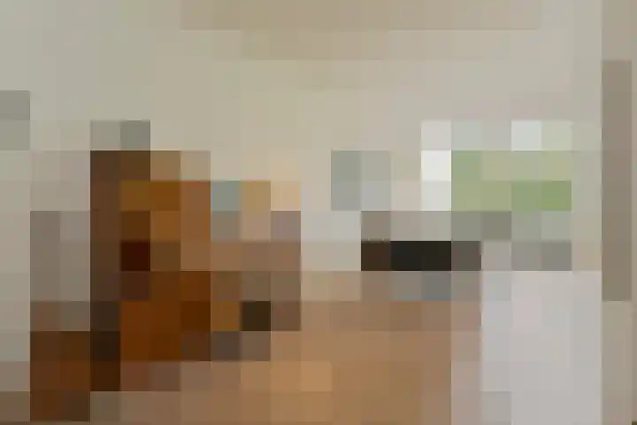 Burggraafstraat 5 Nijmegen thumbnail 16