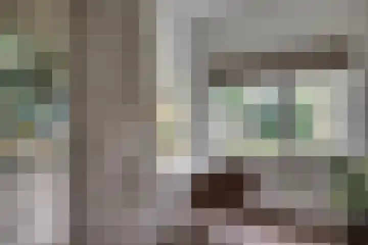 Burggraafstraat 5 Nijmegen thumbnail 36