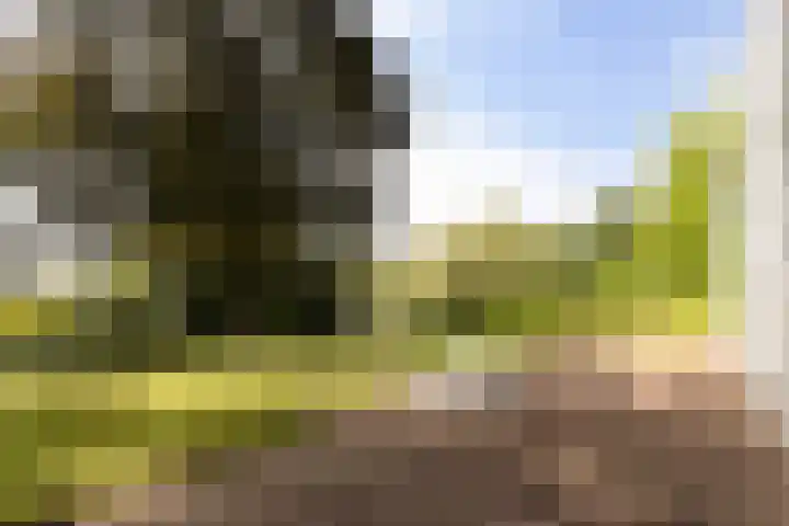 Burggraafstraat 5 Nijmegen thumbnail 50