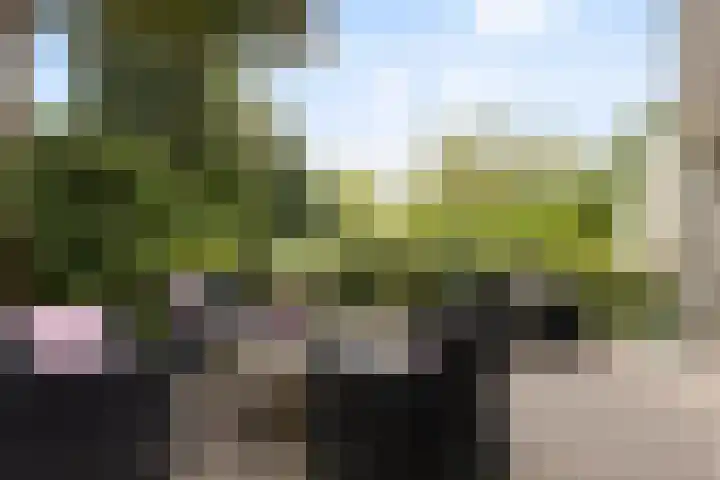 Burggraafstraat 5 Nijmegen thumbnail 65