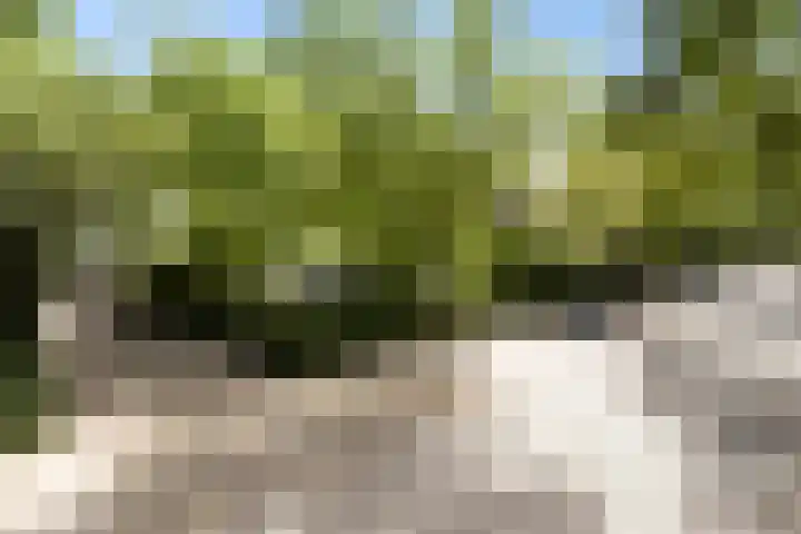 Burggraafstraat 5 Nijmegen thumbnail 72