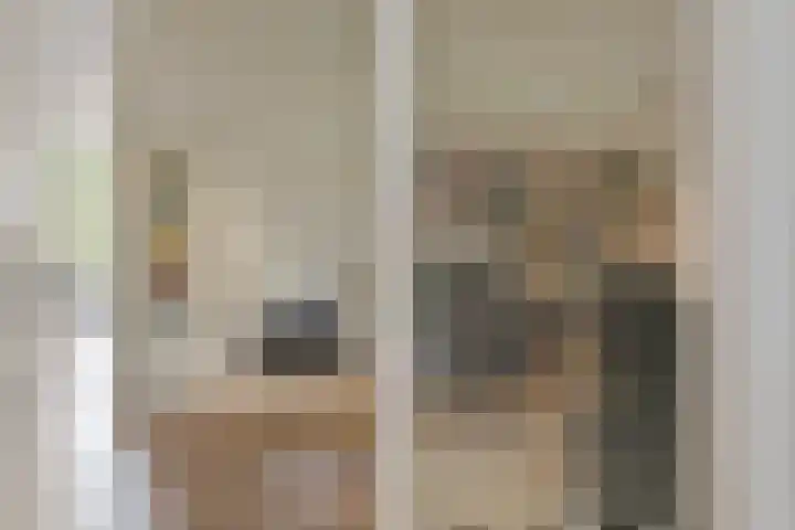 Burggraafstraat 5 Nijmegen thumbnail 9