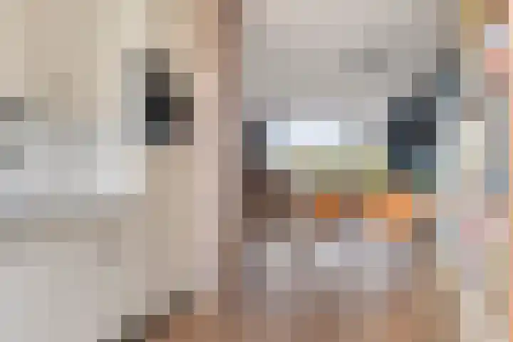 Burggraafstraat 7 Heenvliet thumbnail 13