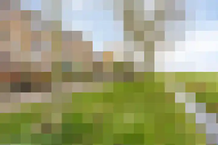 Burggraafstraat 7 Heenvliet thumbnail 33