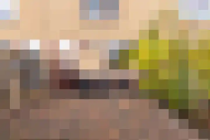 Burggraafstraat 7 Heenvliet thumbnail 7