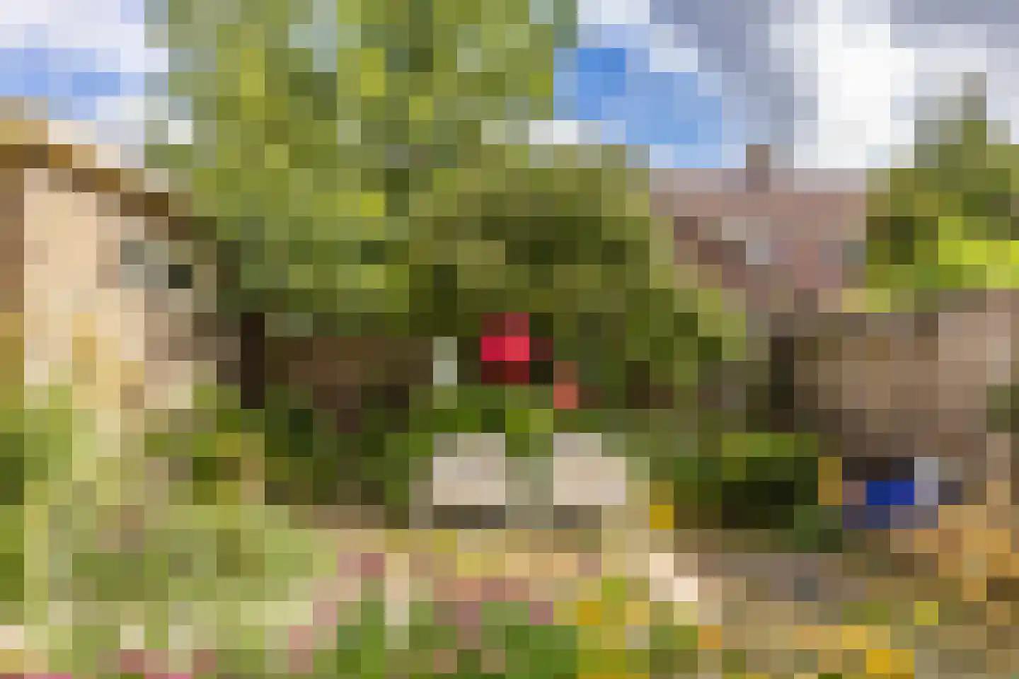 Burggravenlaan 14 Leiden thumbnail 23