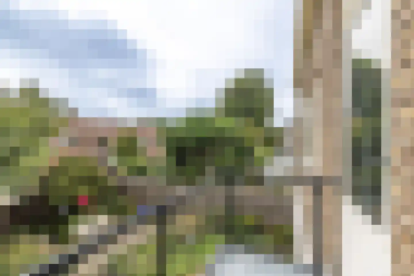 Burggravenlaan 14 Leiden thumbnail 33