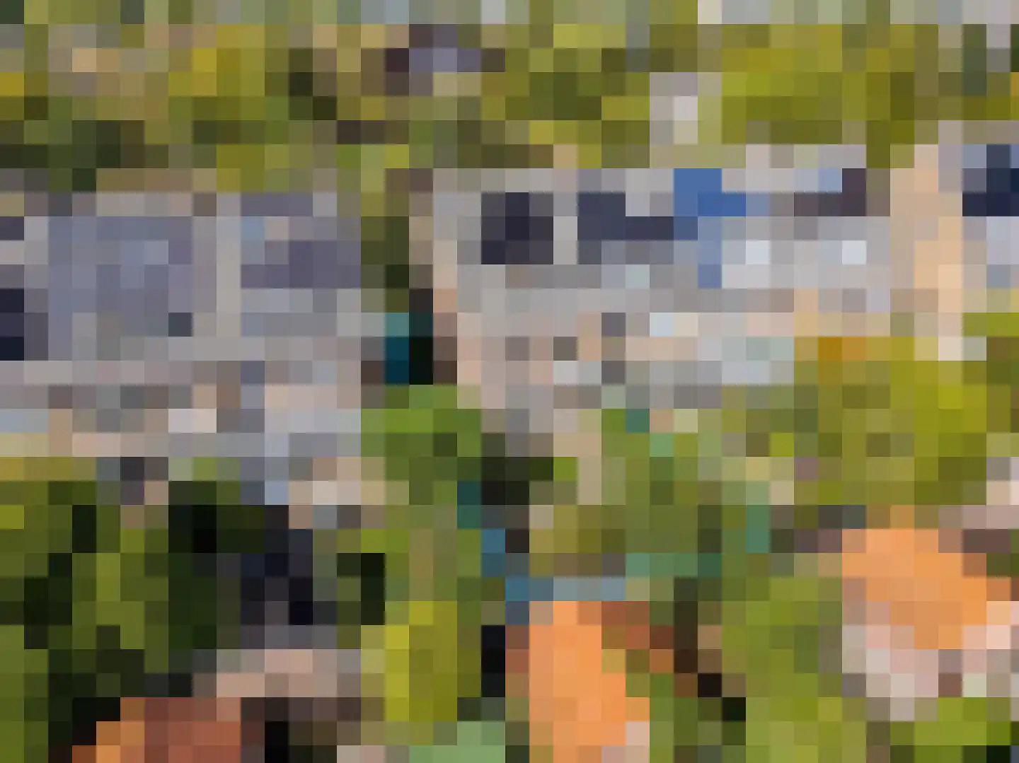 Burggravenlaan 14 Leiden thumbnail 4