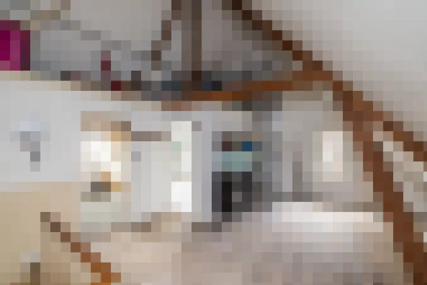 Burggravenlaan 14 Leiden thumbnail 47