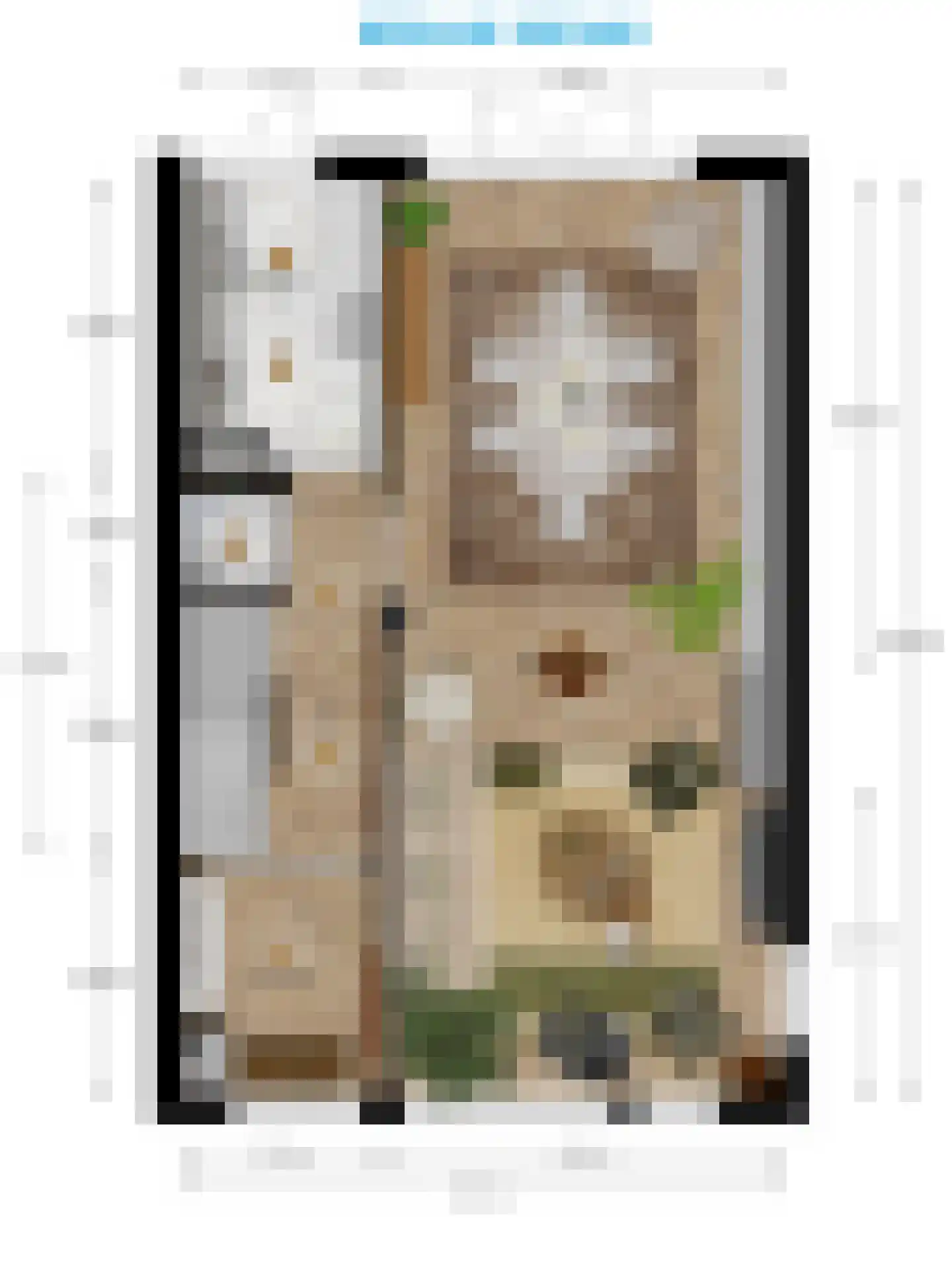 Burggravenlaan 14 Leiden thumbnail 57