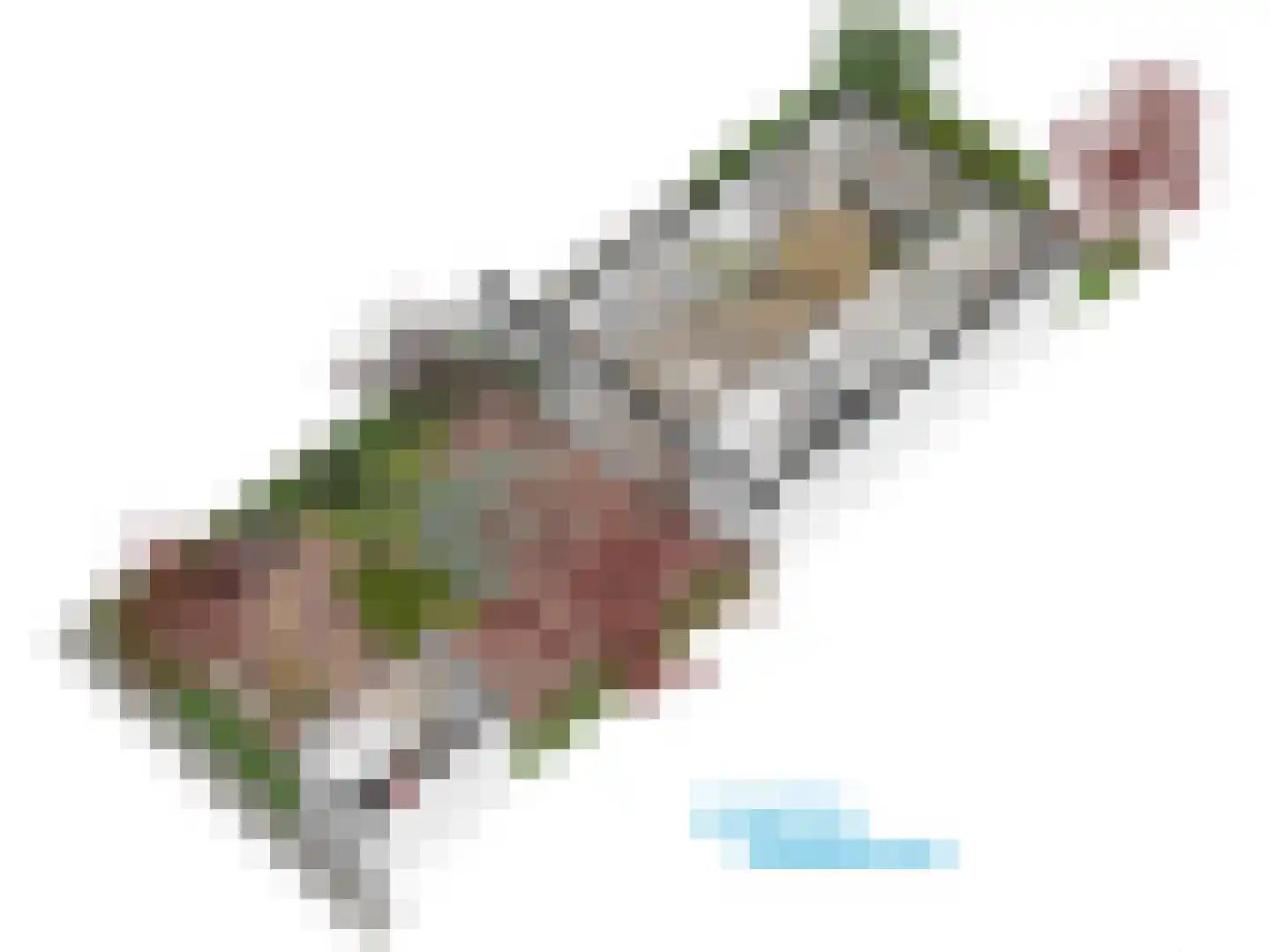 Burggravenlaan 14 Leiden thumbnail 64