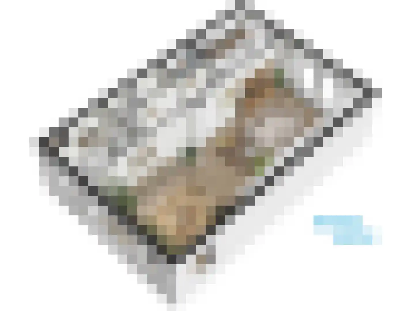 Burggravenlaan 14 Leiden thumbnail 66