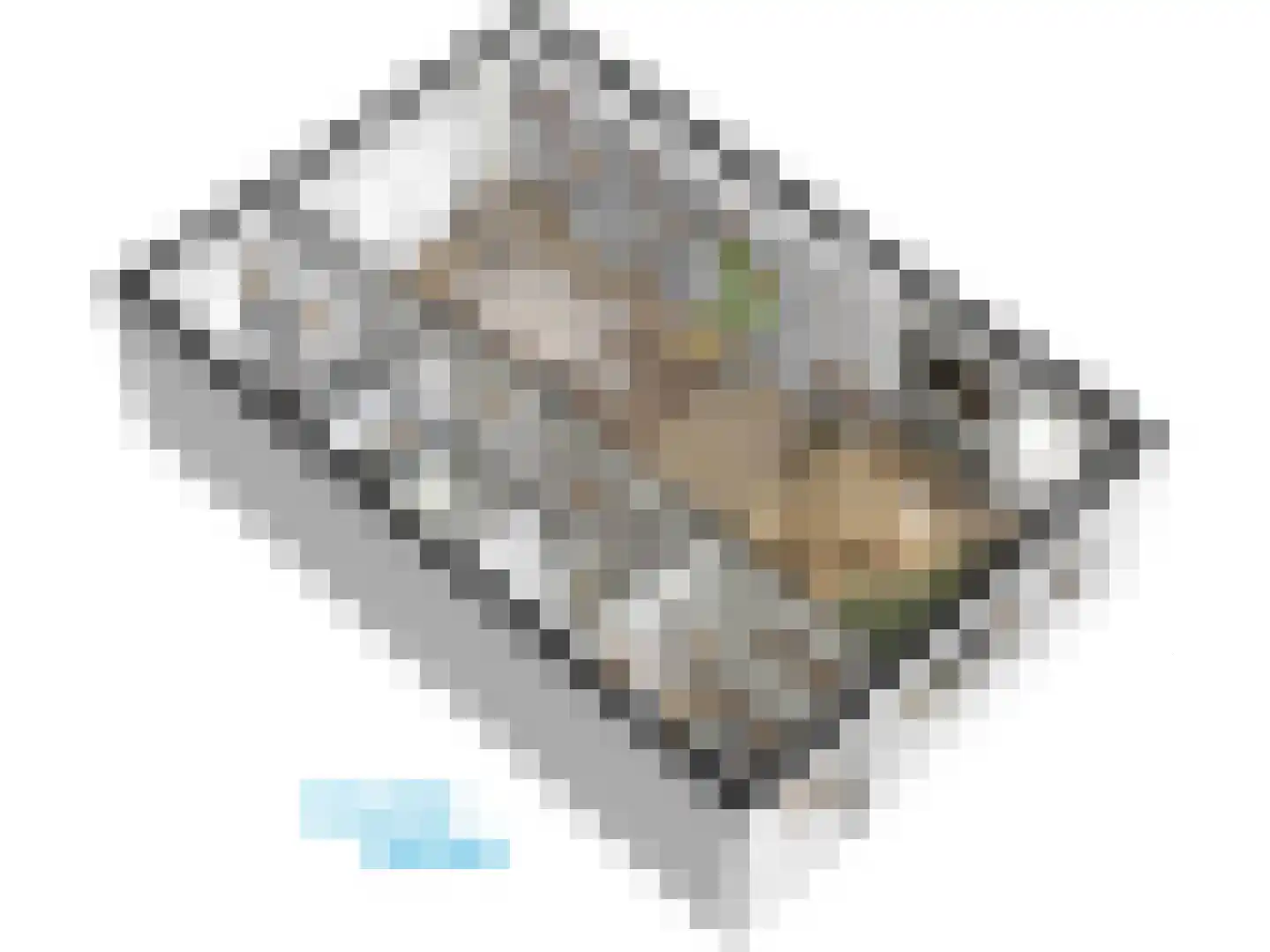 Burggravenlaan 14 Leiden thumbnail 67