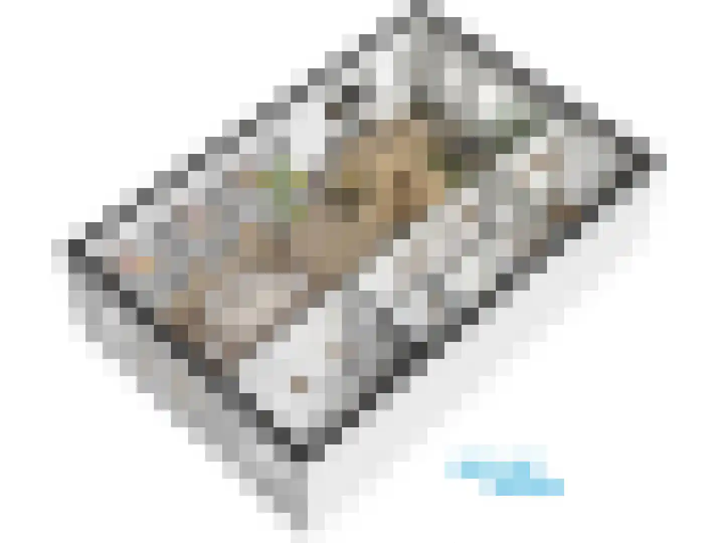 Burggravenlaan 14 Leiden thumbnail 68