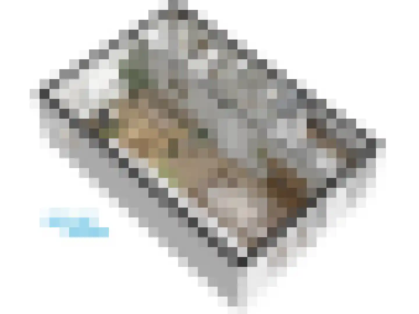 Burggravenlaan 14 Leiden thumbnail 69