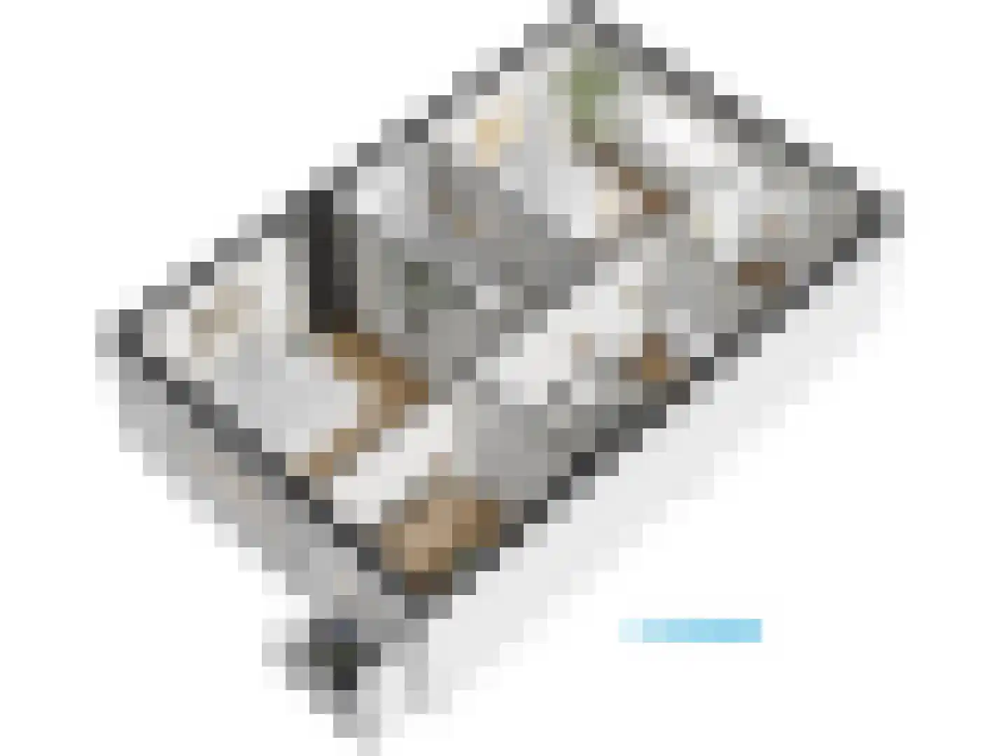 Burggravenlaan 14 Leiden thumbnail 72