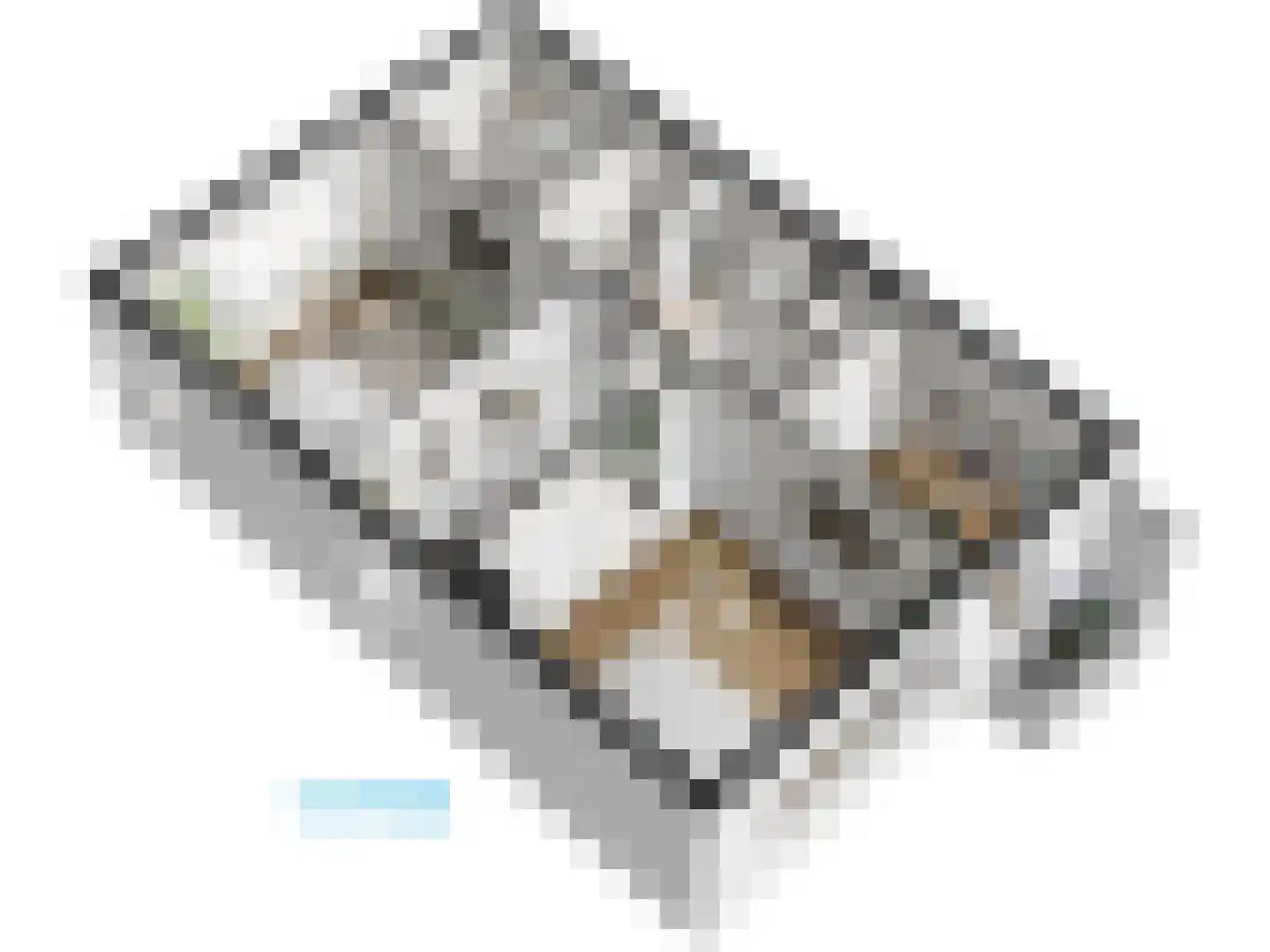 Burggravenlaan 14 Leiden thumbnail 73