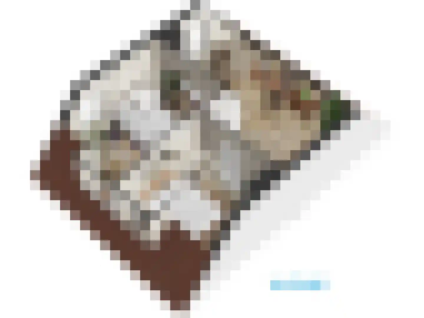 Burggravenlaan 14 Leiden thumbnail 76