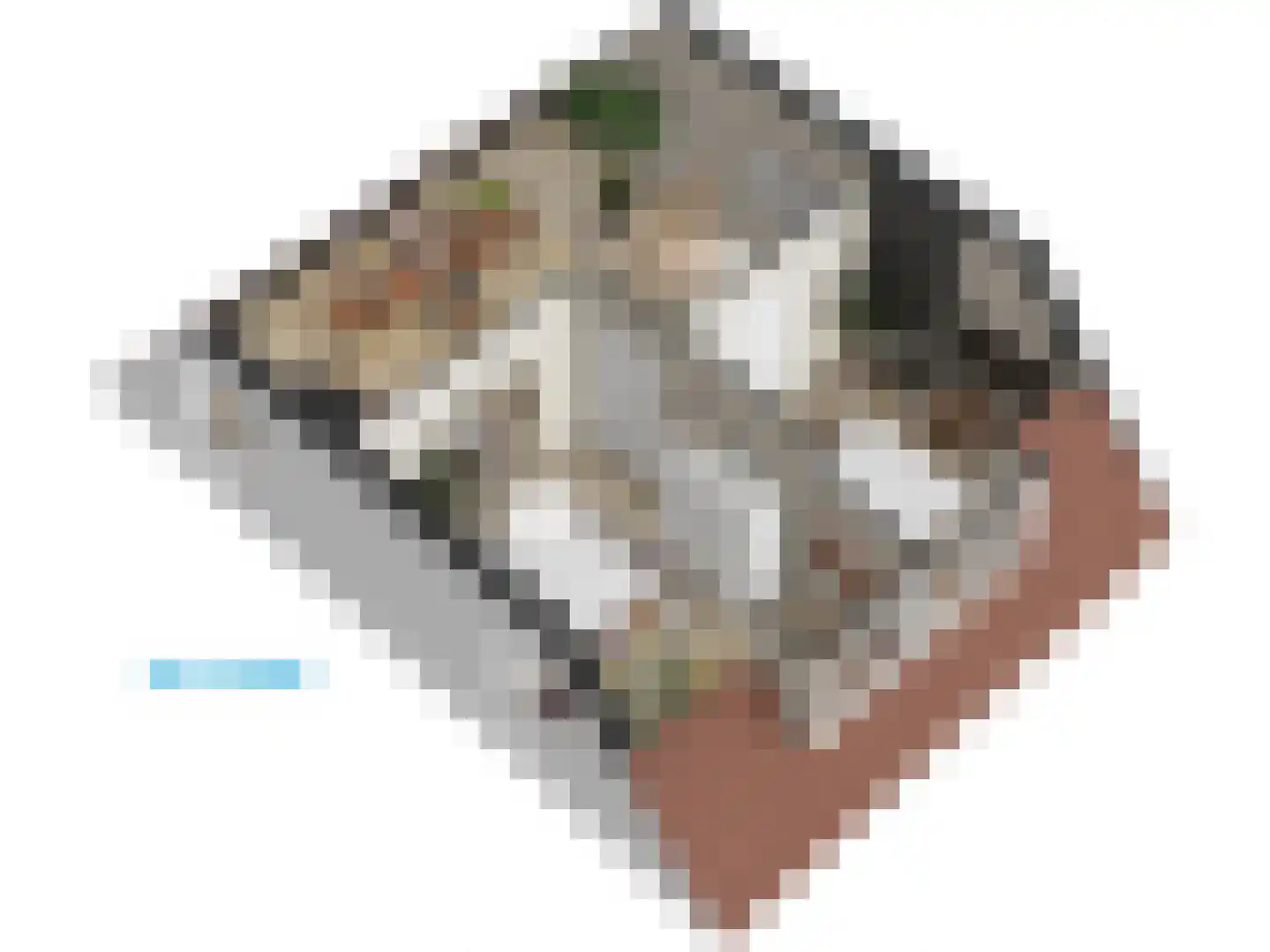 Burggravenlaan 14 Leiden thumbnail 77