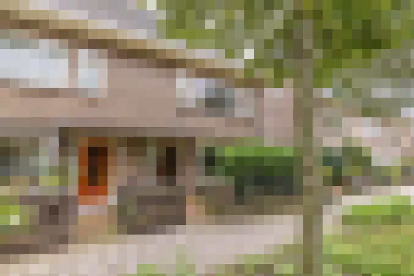 Burggravenlaan 14 Leiden thumbnail 8