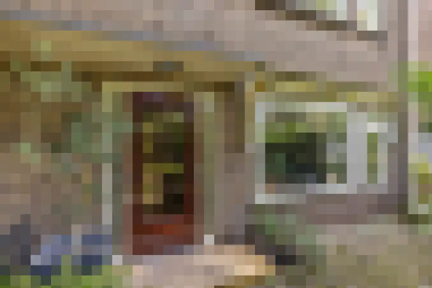 Burggravenlaan 14 Leiden thumbnail 9
