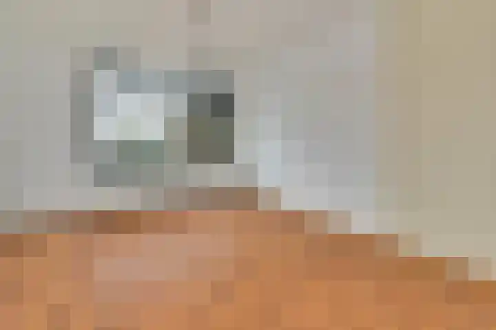 Burggravenlaan 147 Leiden thumbnail 11
