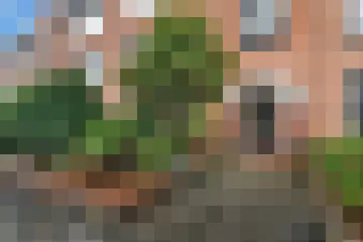 Burggravenlaan 147 Leiden thumbnail 7