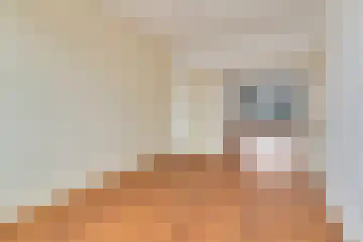 Burggravenlaan 147 Leiden thumbnail 9